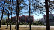 Top Palanga