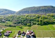Villa BEST VIEW near Colmar- FREE PARK & WIFI