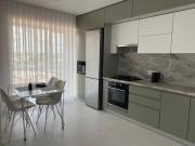 Gray Нова стильна квартира