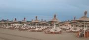 Top Draç