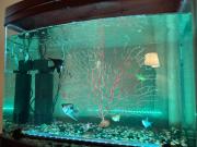 شقة بغرفتين وصالة مودرن وراقية