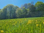 Top Brotterode-Trusetal