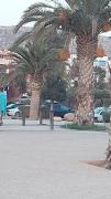 Top Tamraght Ouzdar