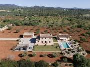 Top SHorta Top SHorta