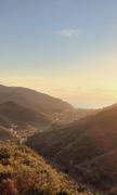 Top Levanto