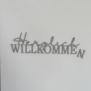 Viki54 FeWo05 "willkommen", Monteurs- und Ferienwohnung