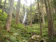 Top Bad Rippoldsau-Schapbach