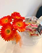 Top Castellaneta Top Castellaneta