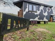 Daisy Cow Shed 1