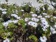 High Sanlúcar-Aparcamiento incluído