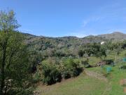 Top Vibonati