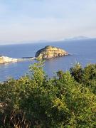 Top Ischia