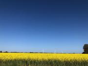 Tief 12 Meeresbrise mit Internet 52