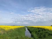 Top Wangerland Top Wangerland