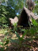 Top Puerto Nariño Top Puerto Nariño