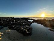 Top Half Moon Bay