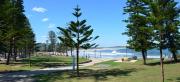 Top Forestville