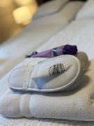 Top Nagykanizsa Top Nagykanizsa