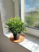 Top Kłodzko Top Kłodzko