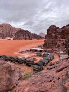 Wild of Wadi Rum