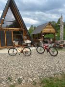 Top Gura Humorului Top Gura Humorului