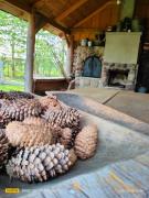 Top Kutowa Top Kutowa