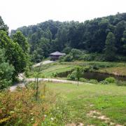 Lilypad - by The Chalets