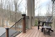 Top Wintergreen