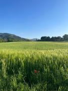 Casa Vacanze Nonna Vittoria