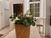 E8 Delux Plaza Mayor