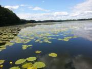 Ferienwohnung-Seebusch