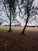 Top Pekan