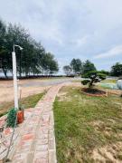 Top Pekan