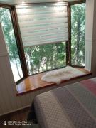 Top Pucón Top Pucón