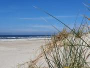 Top Fort-Mahon-Plage