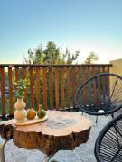 Top Novi Vladimirovac