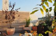 Piso en Sant Antoni con terraza