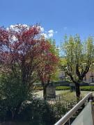 Top Bad Ischl