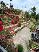 Top Pokhara