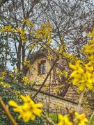 Вілла Білий Бізон Хмелева