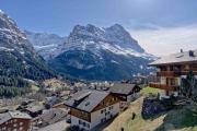 Top Grindelwald