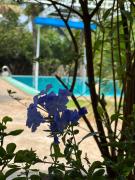 Top Buôn Ma Thuột