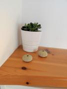 Top Caleta de Caballo