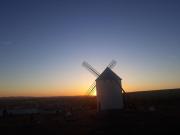 Top Campo de Criptana