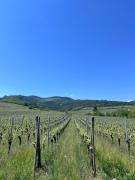 Top Dambach-la-Ville