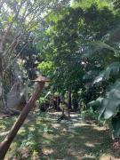 Top Puerto Nariño Top Puerto Nariño