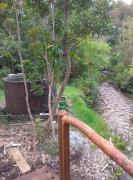 Top Curiñanco Top Curiñanco