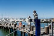 Top Shellharbour