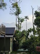 Top Wayanad