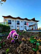 Top Cataloi Top Cataloi